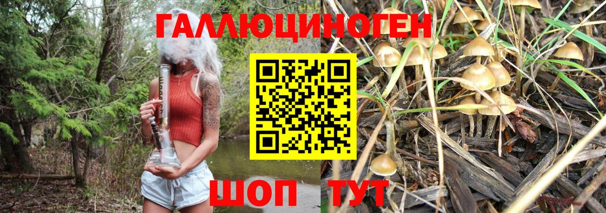 Елабуга  Галлюциногенные грибы GOLDEN TEACHER  Вход с VPN 