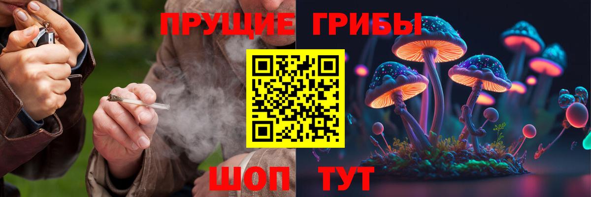 Псилоцибиновые грибы GOLDEN TEACHER Елабуга